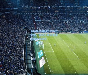 多纳鲁马英超之旅收获赞誉，经纪人暗示未来或重返亚平宁