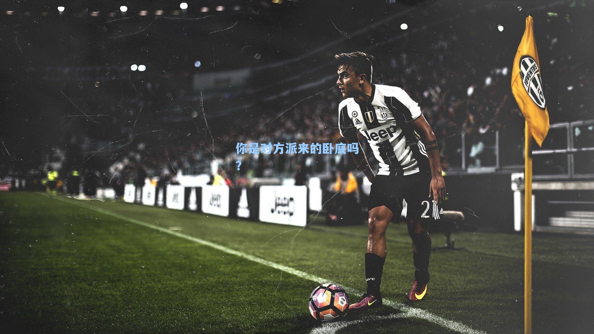 你是对方派来的卧底吗？