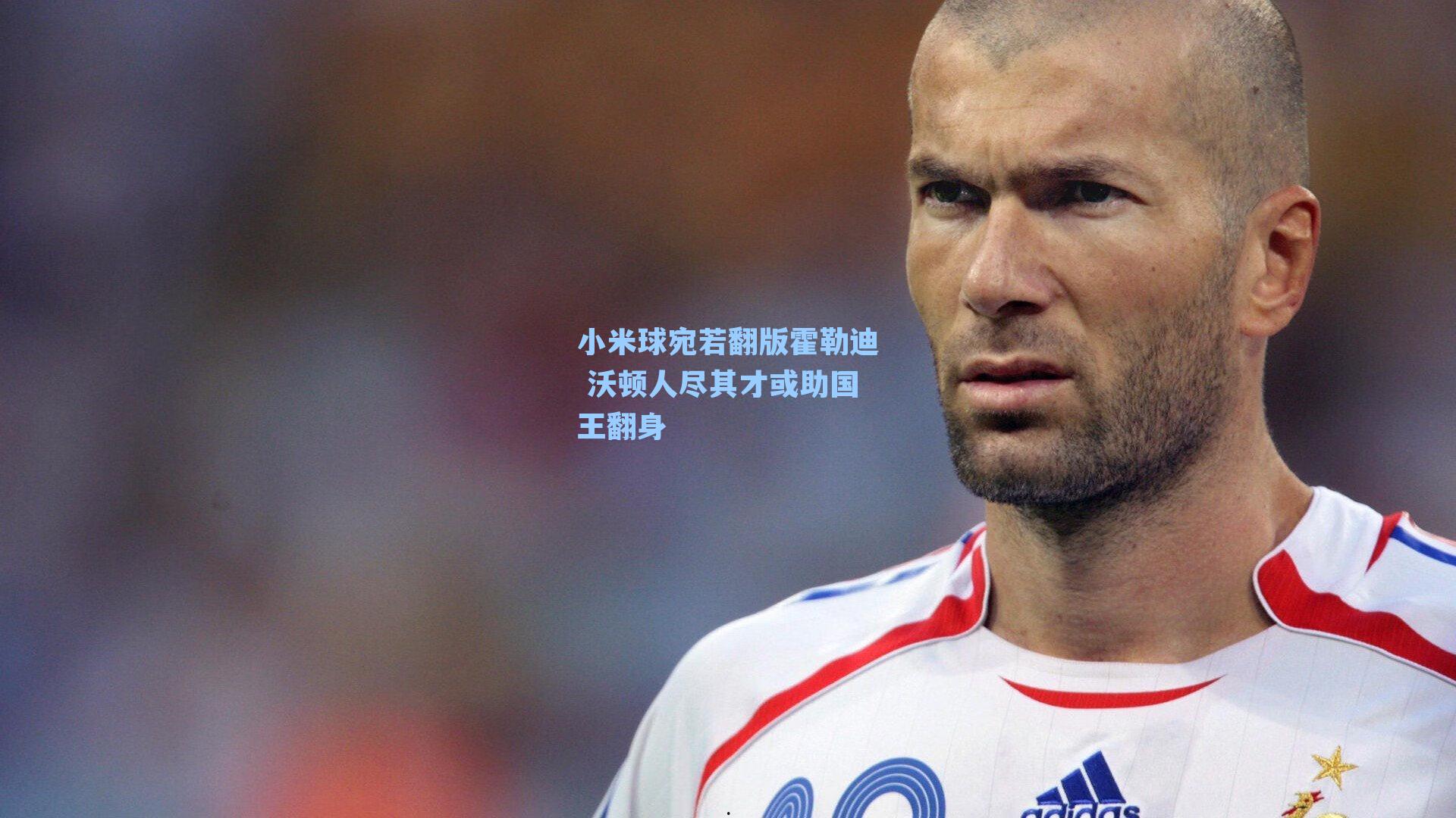 小米球宛若翻版霍勒迪 沃顿人尽其才或助国王翻身